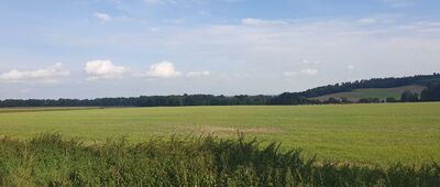 Łąka ↔ Rozejście szlaków