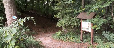 Góra Świętej Anny, ul. Wolności [Rozejście szlaków, dolinka]