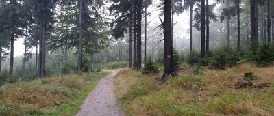 Rozwidlenie pod Rymarzem ↔ Zimna Polanka