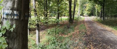 Góra św. Wawrzyńca ↔ Staw Barcz [Droga na Górę św. Wawrzyńca]