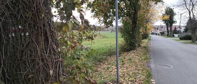 Wesoła, Aleja Spacerowa ↔ Huta Rozalia, las [Ulica Pogodna]