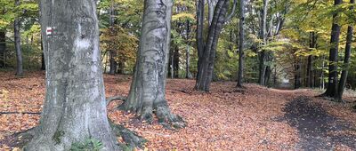 Szklarska Droga [Rozejście szlaków]