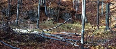 Kamieniołom [W Kamieniołomie Cieszyniec.]