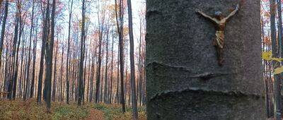 Rozejście szlaków [Rozejście dróg oznakowane charakterystycznie...]