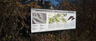 Przemyśl, stok narciarski