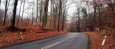 Góra św. Wawrzyńca ↔ Orzesze, ul. Szkolna