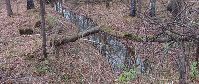 Rów Kosztowski [Rów Kosztowski. Pagóry Jaworznickie.]