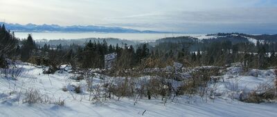 Kułakowy Wierch [Kułakowy Wierch - widok z początku szlaku]