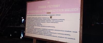 Wywierzyska w Strzemieszycach Wielkich [Wywierzyska mają ochronę w formie Pomnika Przyrody.]