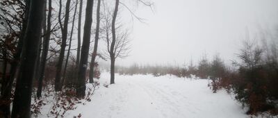 Pod Bendoszką Wielką