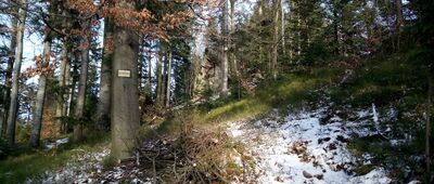 Kocierz, Słonków