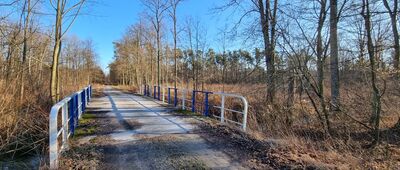 Raków ↔ Chrząstawa Mała [mostek na dopływie Widawy - Świeżnej]