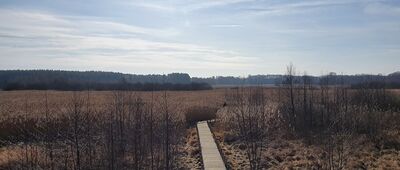 Kanał Olszowiecki [Kanał Olszowiecki - kładka od Granicy]