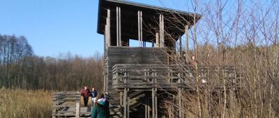 Rozejście ścieżki dydaktycznej ↔ Kanał Olszowiecki