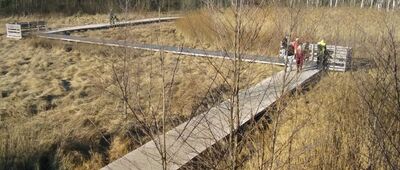 Rozejście ścieżki dydaktycznej ↔ Kanał Olszowiecki