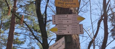 Przełęcz pod Wroną