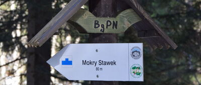 Mokry Stawek, rozejście