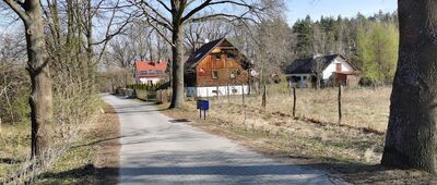 Żelazny Most, leśnictwo ↔ Rynarcice, rozejście szlaków [foto]