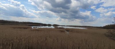 Stawy Pieszowolskie ↔ Rozejście szlaków