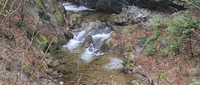 Dolina Białego ↔ Zakopane, Wielka Krokiew