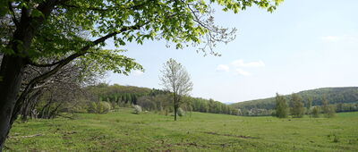 Rozejście szlaków ↔ Rozejście szlaków