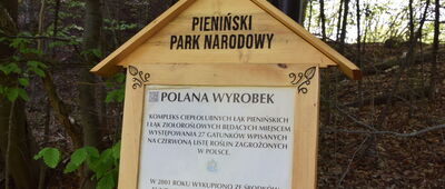 Polana Wyrobek