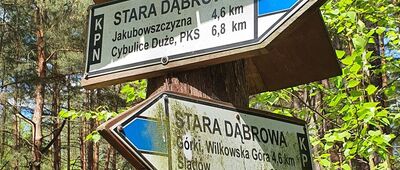 Odejście ścieżki dydaktycznej [Stara Dąbrowa]