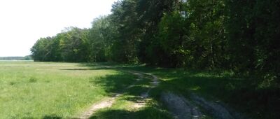 Zaborówek, granica parku narodowego ↔ Zaborów