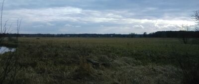 Odgałęzienie ścieżki dydaktycznej ↔ Obszar ochrony ścisłej "Roztoka"