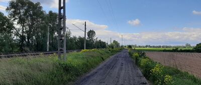 Rokitno ↔ Łaźniew [Warszawska Obwodnica Turystyczna - przy torach.]