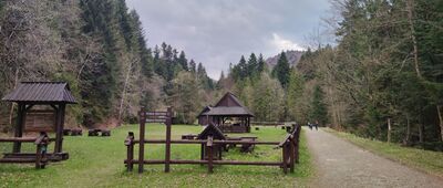 Oberówka, odejście ścieżki edukacyjnej ↔ Oberówka, odejście ścieżki edukacyjnej