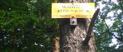 Iłowiec [Iłowiec]