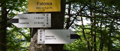 Falowa