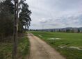 Dębno ↔ Harklowa
