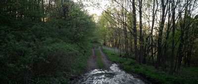 Skrzyżowanie szlaków żółty / czarny