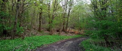 Skrzyżowanie szlaków żółty / czarny