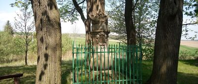 Stare Bogaczowice, ścieżka do kaplicy ↔ Skrzyżowanie szlaków żółty / czarny