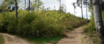 Skrzyżowanie szlaków czerwony / zielony / żółty