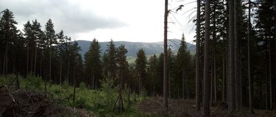 Karpacz, centrum medyczne ↔ Rozejście szlaków