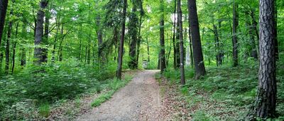 Pod Wzgórzem Kościuszki