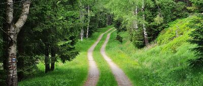 Čestník ↔ Pod Dlouhým hřebenem, Emmina cesta