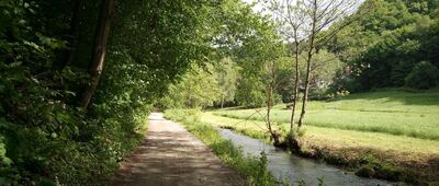 Prądnik Korzkiewski, granica parku narodowego ↔ Dolina Prądnika, odejście szlaku żółtego