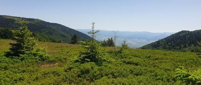 Veterné ↔ Horná lúka