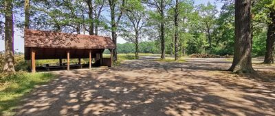 Dąbrowa Środkowa ↔ Ręszów, przystanek autobusowy [parking przy drodze 36]