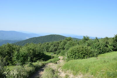 Krzemieniec 1221m
