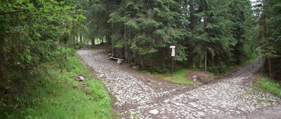 Polana Trzydniówka