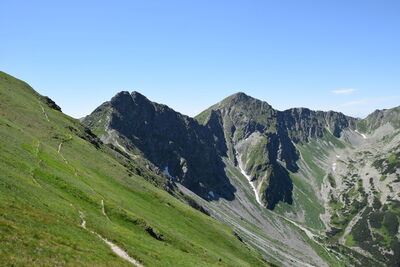 Rohacz Ostry i Płaczliwy