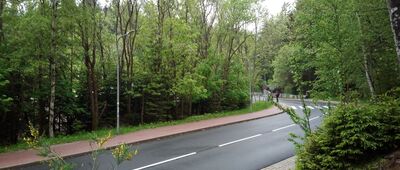 Rozdroże Łomnickie