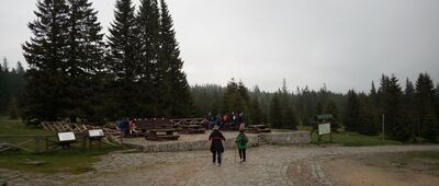 Polana w Karkonoszach