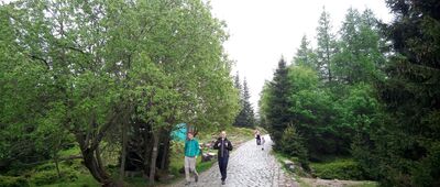 Polana w Karkonoszach